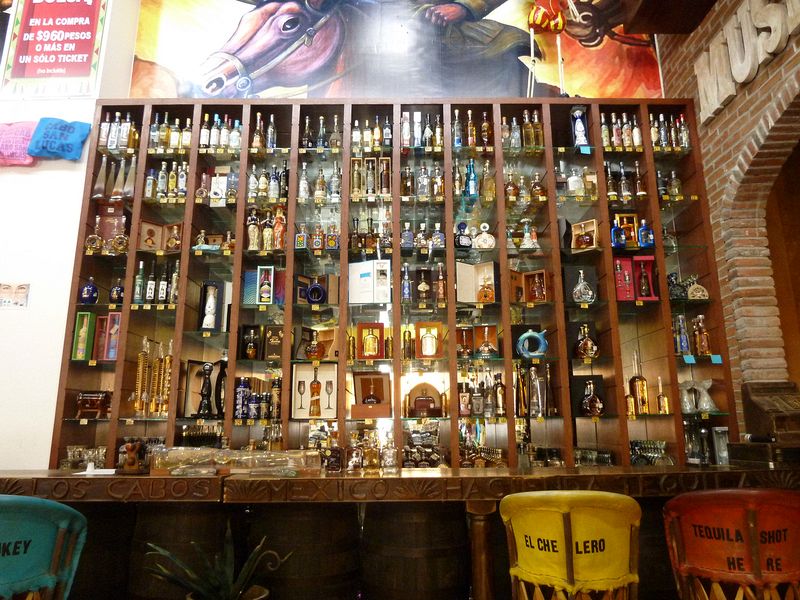 Lots of different kinds of tequila